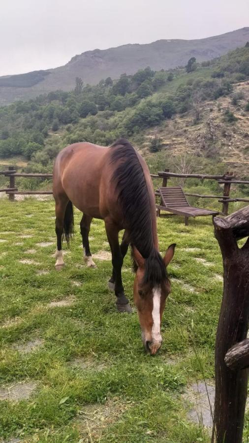 Casa Rural Cortijo Molino Altero เตรเวเลซ ภายนอก รูปภาพ