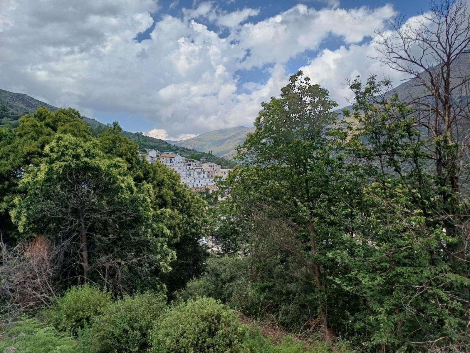 Casa Rural Cortijo Molino Altero เตรเวเลซ ภายนอก รูปภาพ