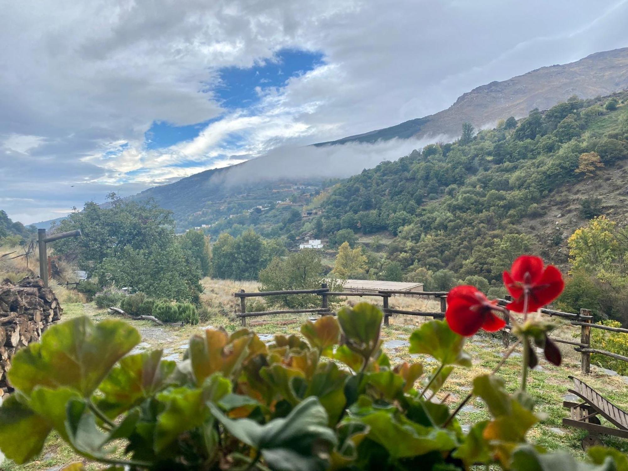 Casa Rural Cortijo Molino Altero เตรเวเลซ ภายนอก รูปภาพ