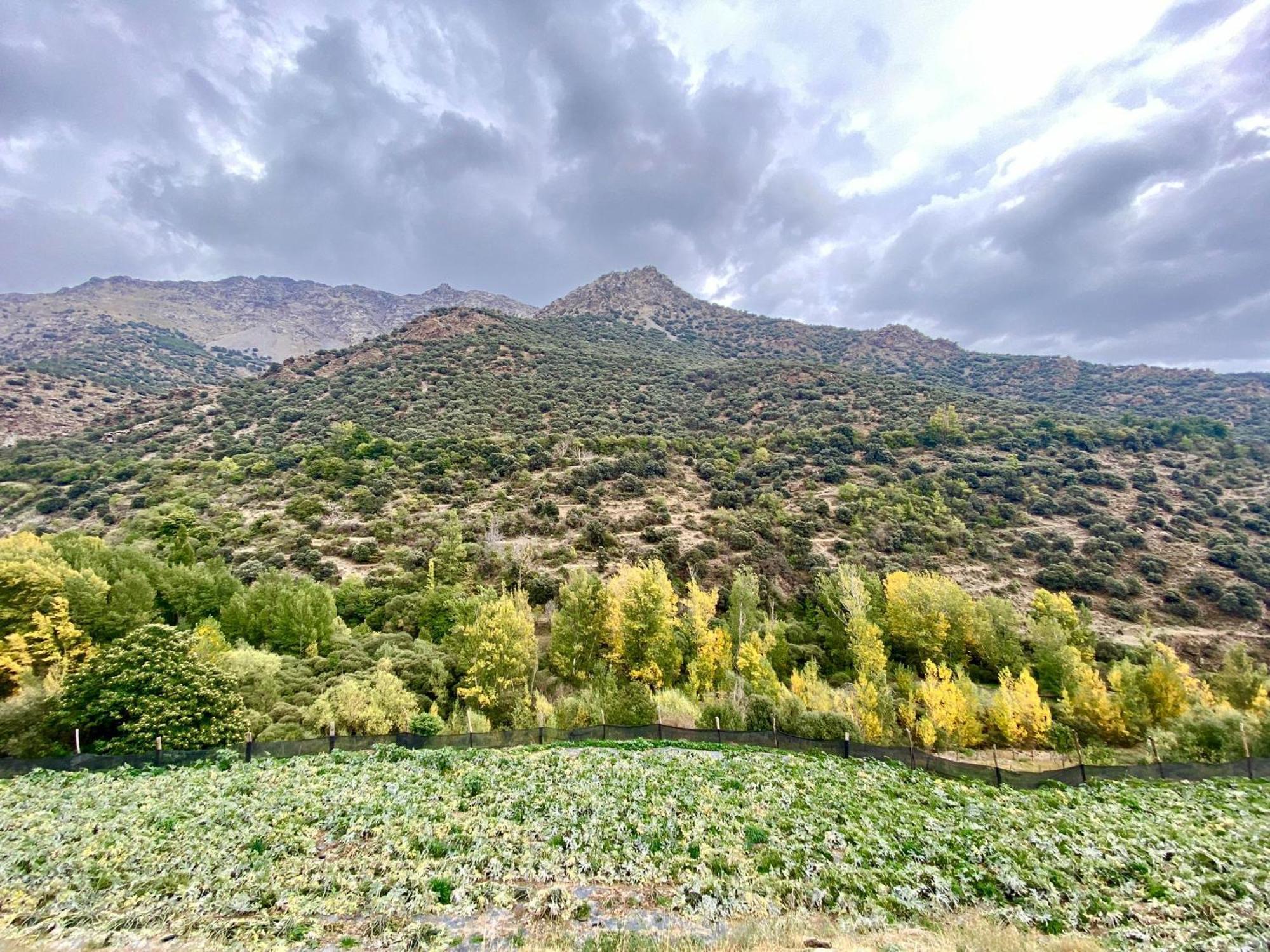 Casa Rural Cortijo Molino Altero เตรเวเลซ ภายนอก รูปภาพ